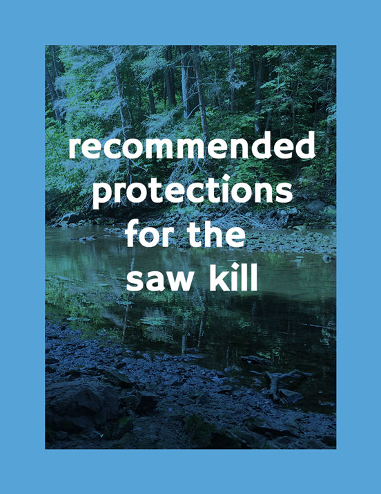 Recommended Protections for the Saw Kill