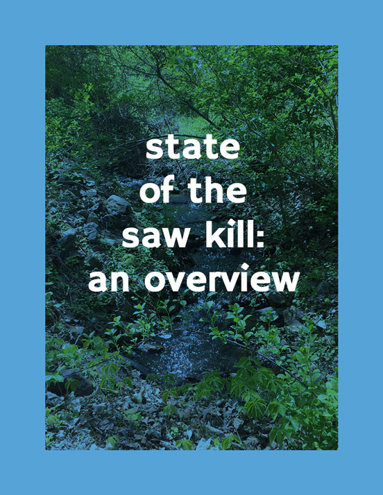 State of the Saw Kill: an Overview